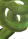 WHORL | 02 — Sam Jaspersohn — Abstract Expressionist Art Print